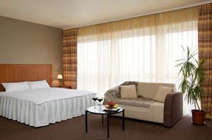 Deluxe single with city view, king bed, private facilities, and breakfast